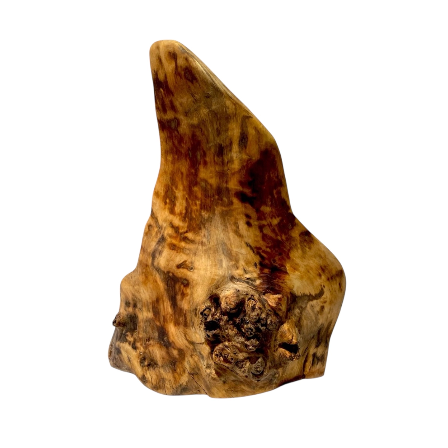 Scultura da appoggio in radica di pioppo “Sussulto del Bosco” con forme naturali irregolari.